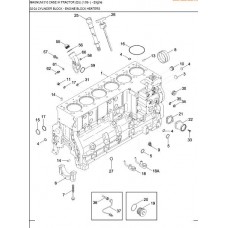Case IH MX310 Magnum Engine Parts Manual